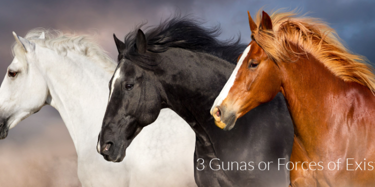 3 gunas or modes of existence