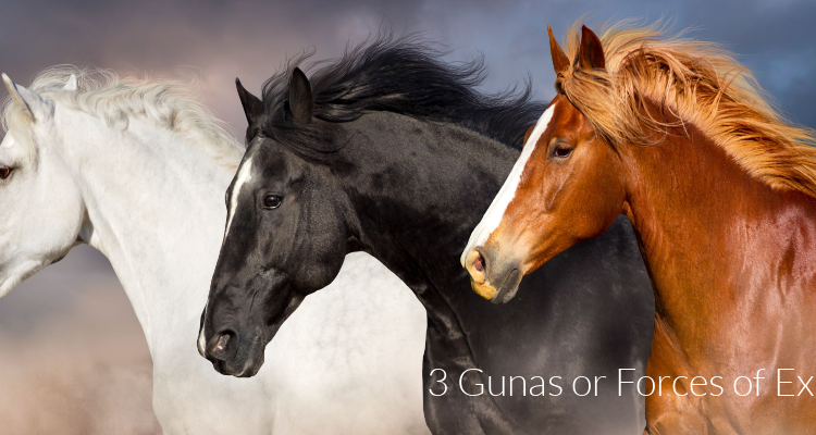 3 gunas or modes of existence