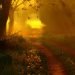 Fate and Free Will