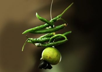 Lemon And Chillies Hanging