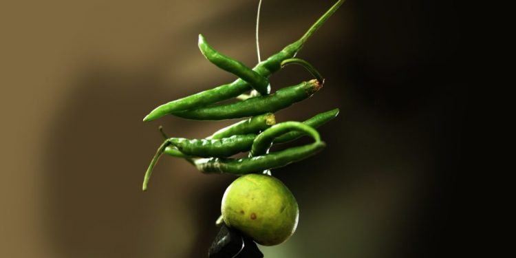 Lemon And Chillies Hanging