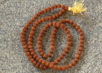 Significance of Rudraksha
