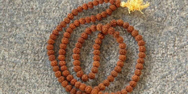 Significance of Rudraksha