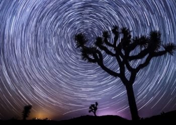 Teachings of Vedanta