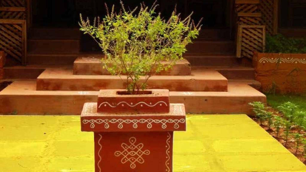 Tulsi Vastu plants