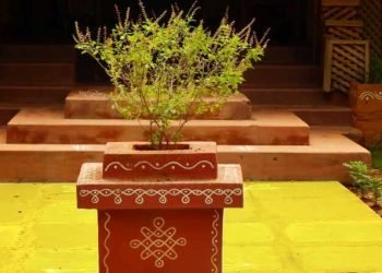 Tulsi Vastu plants