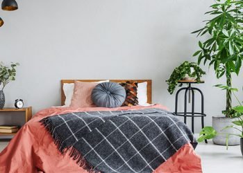 Vastu plants in Bedroom