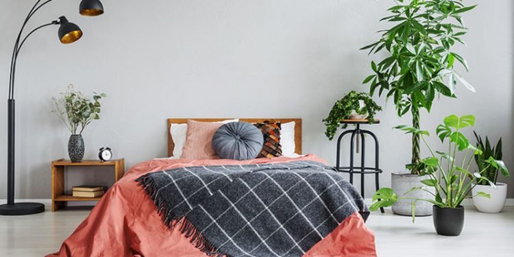 Vastu plants in Bedroom
