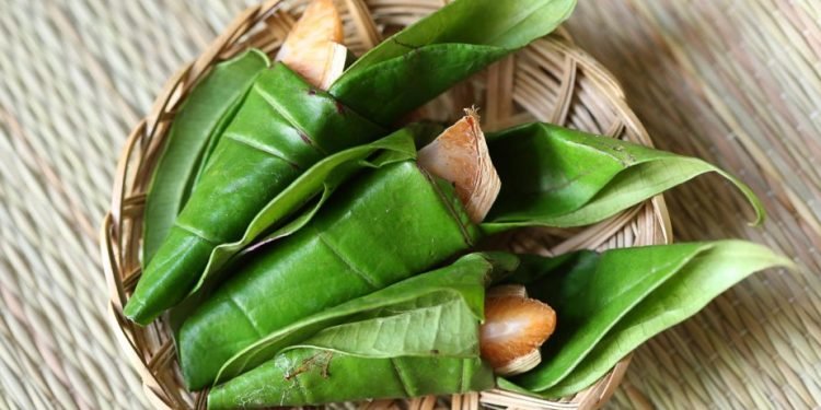 betel leaves offerring to God