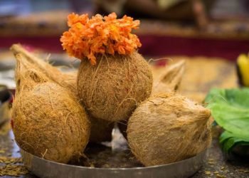 Importance of Coconut During Puja