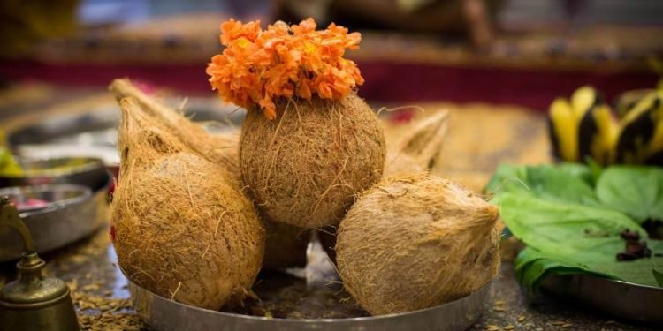 Importance of Coconut During Puja