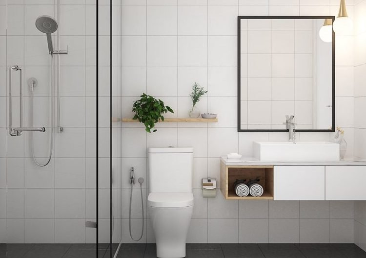 Vastu for Toilet Tips By Vedicology Vastu Consultants