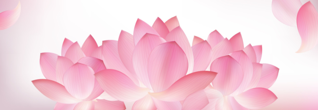 About Us Praveen Saanker Page