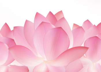 About Us Praveen Saanker Page