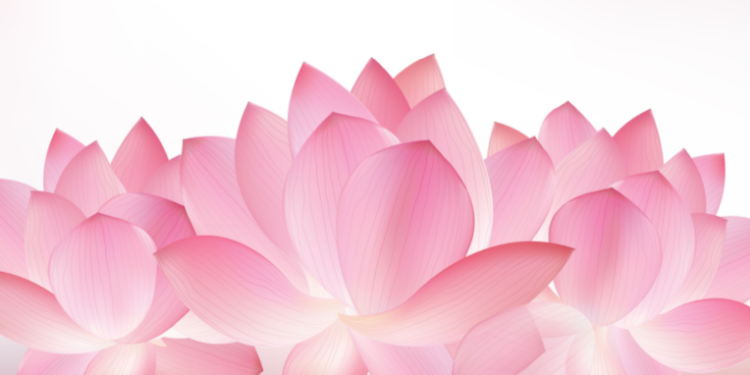 About Us Praveen Saanker Page