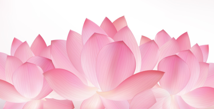 About Us Praveen Saanker Page