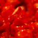 Coral Gemstone for Mars Planet Remedy