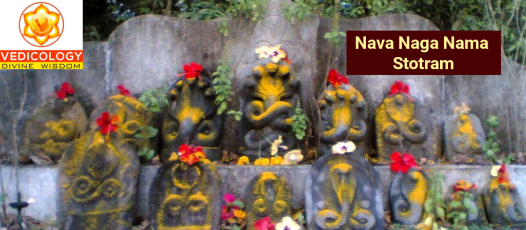 Learn Navanaga Nama Stotram online with Vedicology India