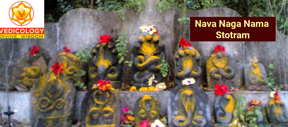Learn Navanaga Nama Stotram online with Vedicology India