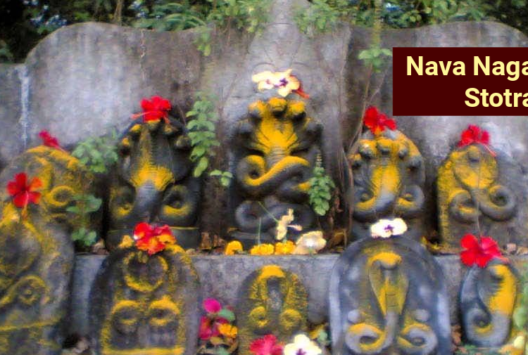Learn Navanaga Nama Stotram online with Vedicology India