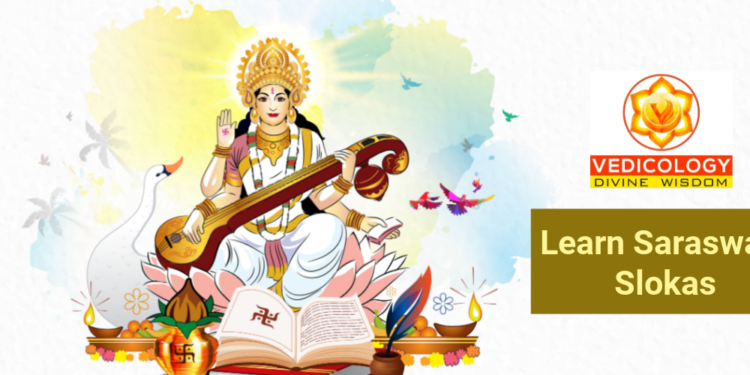 Learn Saraswati Mantras online with Vedicology