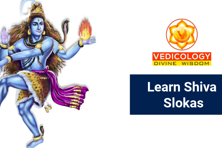 Learn Shiva Slokas, Stotras and Mantras online with Vedicology