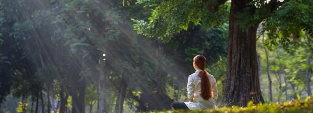 Beginners Guide to Human Energy System Introduction to Koshas Nadis and Chakras