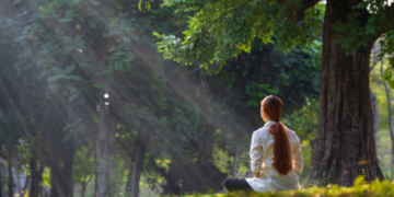 Beginners Guide to Human Energy System Introduction to Koshas Nadis and Chakras