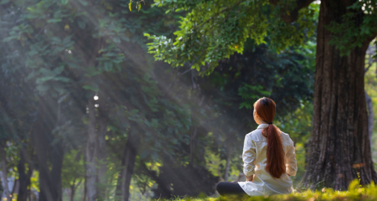 Beginners Guide to Human Energy System Introduction to Koshas Nadis and Chakras