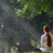 Beginners Guide to Human Energy System Introduction to Koshas Nadis and Chakras