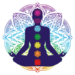 Chakra Mastery Online Course