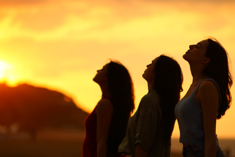 Ananda Commune Vedicology Academy Vedicology India