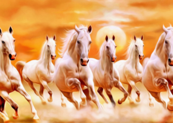 Vastu Consultation Business