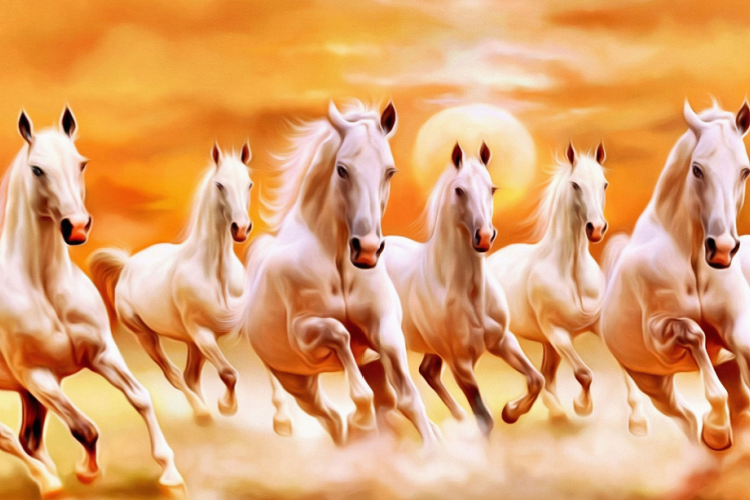 Vastu Consultation Business