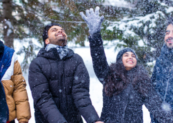 welcome to ananda commune shakti sadhana kali sadhana vedicology